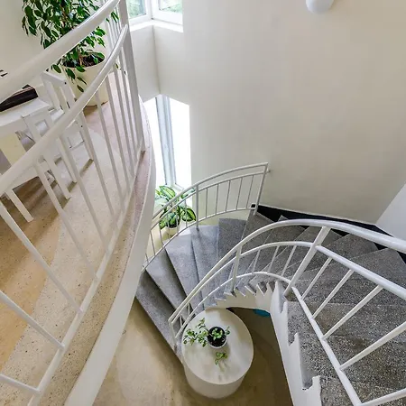 White Dove Златни пясъци