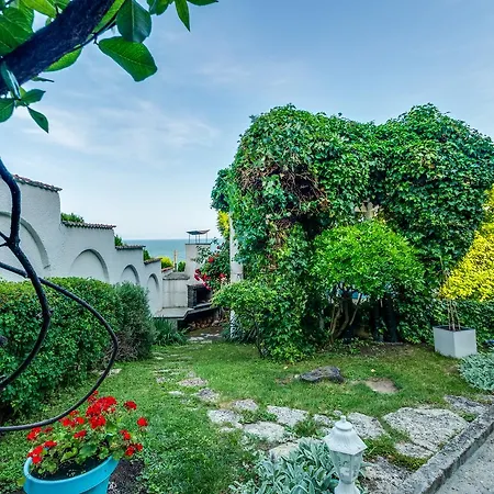 White Dove Златни пясъци